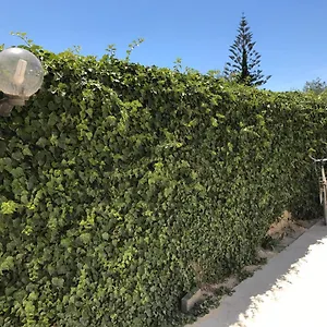 Zibi&bibbo Casa vacanze